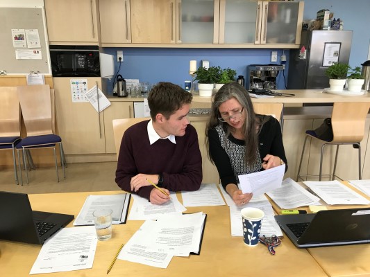 FN Sikkerhetsråd - Rollespill