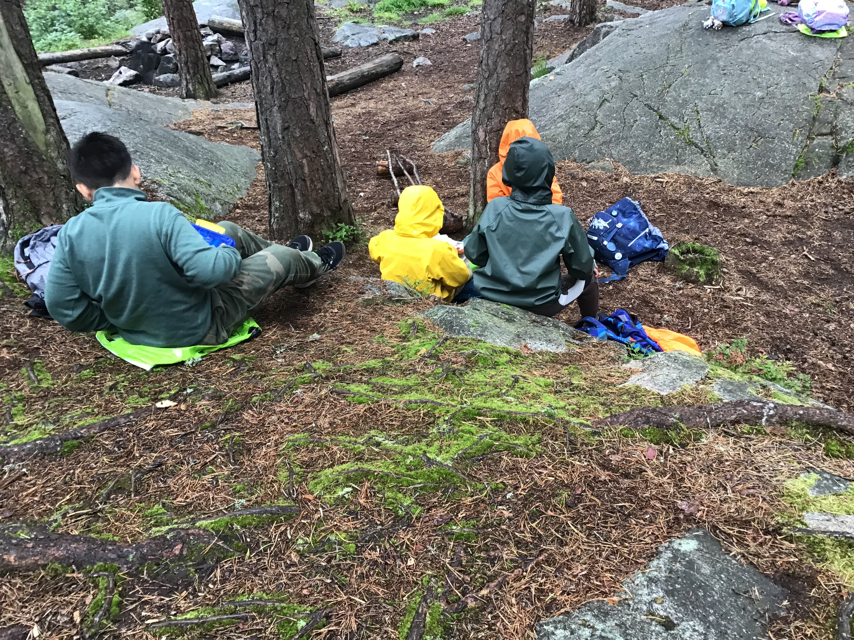 en gruppe barn i skogen