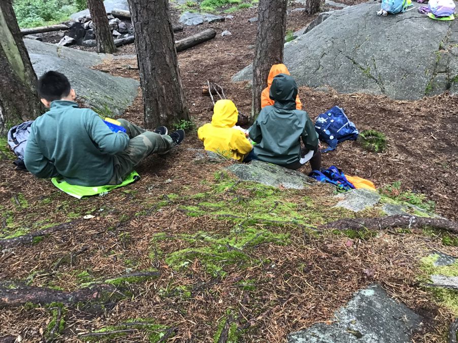 en gruppe barn i skogen
